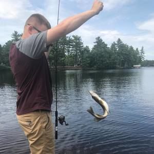 Meet your Posher, Alex